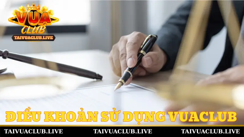 Giới thiệu sơ lược về điều khoản sử dụng Vuaclub