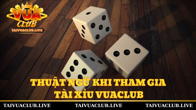 Thuật ngữ khi tham gia Tài xỉu Vuaclub